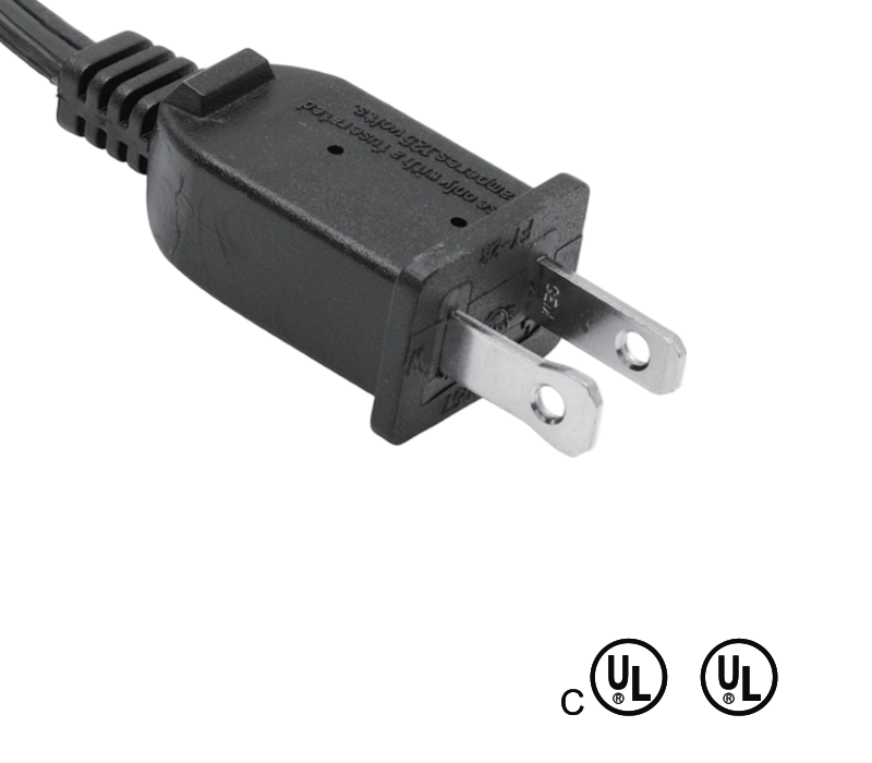 Enchufe estándar americano de dos clavijas FY-2R 13A 125V con fusible