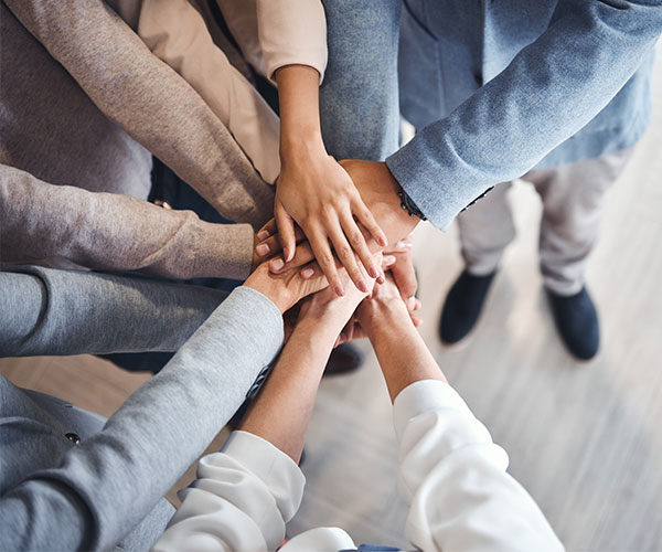 Ningbo TOP Electromecánica Co., Ltd.